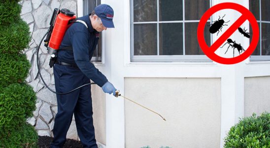 Turhal Bit İlaçlama böcek ilaçlama ve haşere kontrolü — ilaclama-tr.com